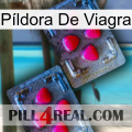 Píldora De Viagra 14